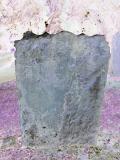 image of grave number 709643